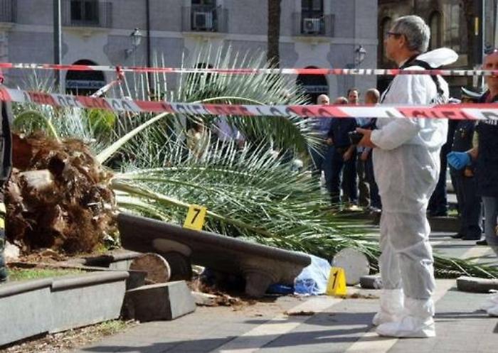 Catania, palma killer di piazza Cutelli Chiesto processo per 2 funzionari comunali