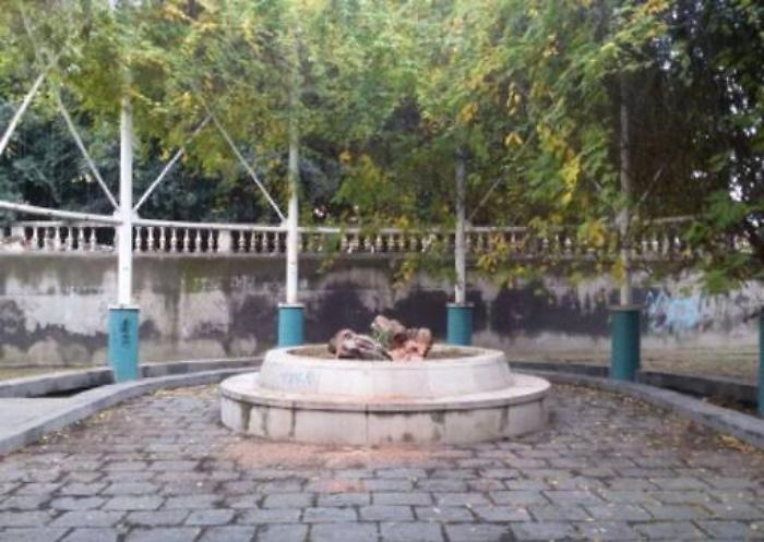 Catania, sradicato il carrubo dedicato a Falcone e Borsellino