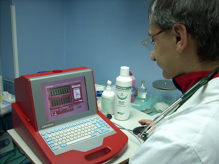 Lotta ai tumori Una nuova speranza da una terapia veterinaria