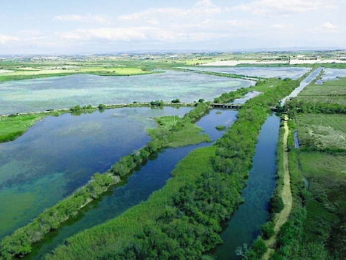 Pantano Longarini, i tedeschi ne tuteleranno la biodiversit&agrave;