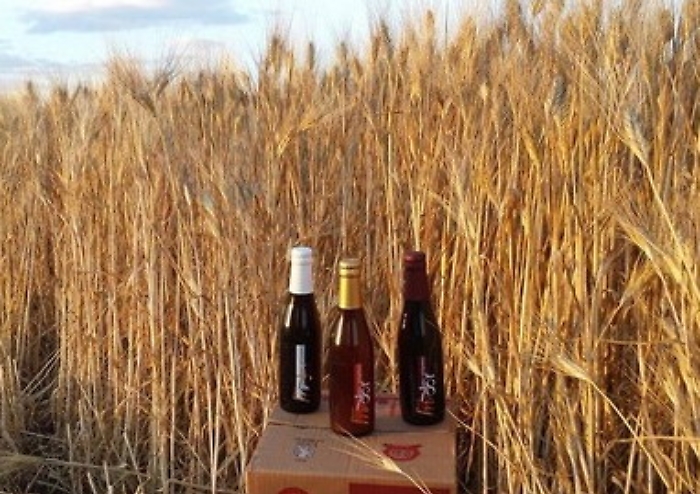 Tra spighe e carciofi, il gusto "cool" della birra artigianale made in Ramacca