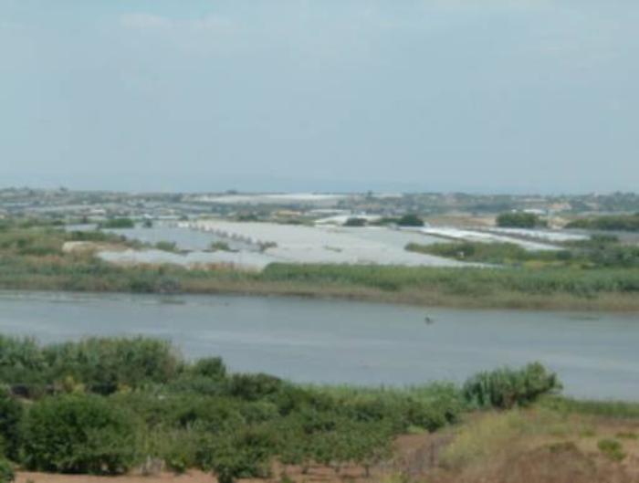 Il Tar annulla l&rsquo;istituzione della Riserva dei Pantani