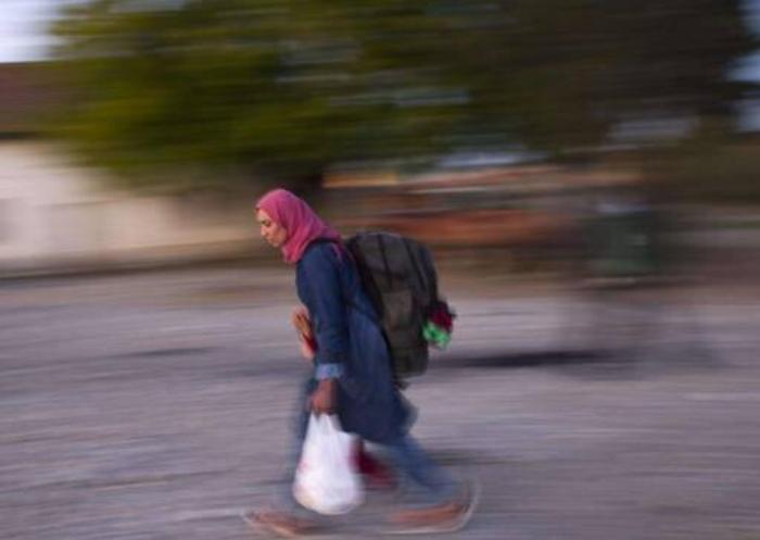 Immigrazione, assunzioni fittizie nei circhi per favorire l&rsquo;ingresso illegale in Italia