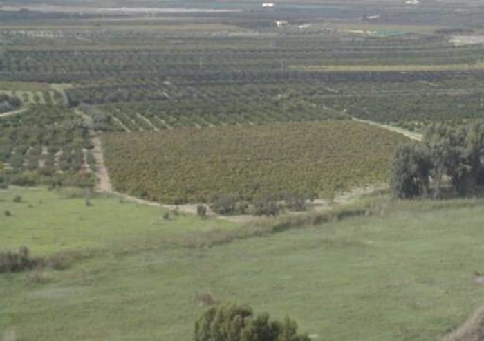 Imu agricola, denuncia Cia Sicilia &laquo;No all&rsquo;inasprimento fiscale&raquo;