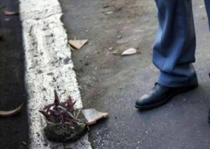 Mazzarino, lancia vaso dal balcone arzilla ottantenne ai domiciliari