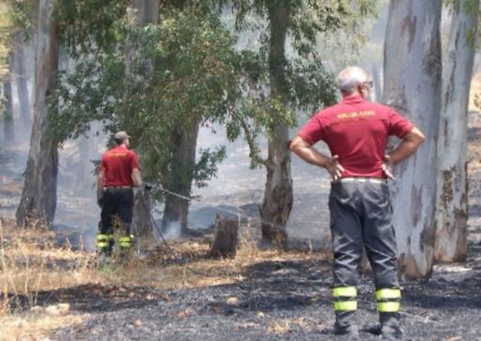 Oasi del Simeto, piromani nella Riserva: in fumo decine di ettari
