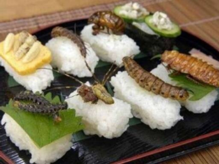 Tabù da sfatare: insetti, alghe e meduse si porteranno a tavola