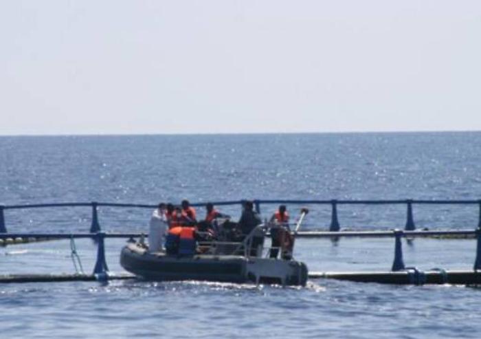 Zainetto con insulina in mare, bimba muore su barcone