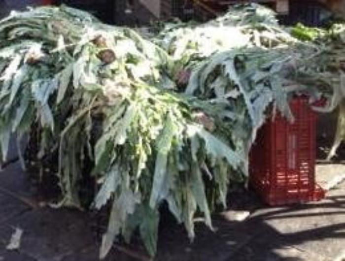 Vendevano carciofi e hashish: arrestati tre ambulanti a Catania