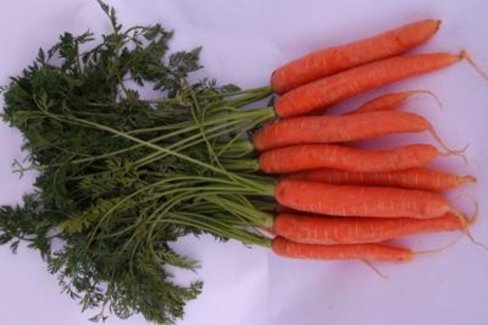 Agricoltori, è sì alla vendita diretta di prodotti della terra e trasformati