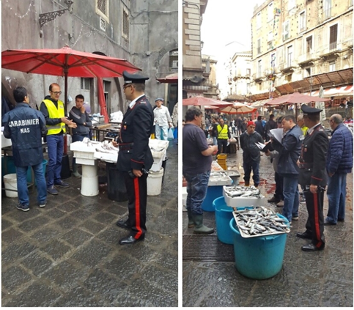 Catania, controlli alla "Pischiria" Pesce malconservato:11 denunce