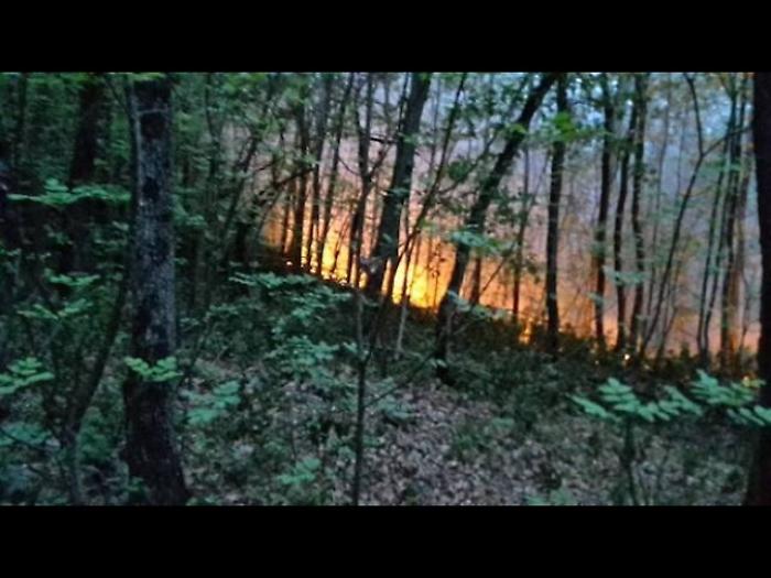 Siracusa, due anni dopo gli incendi i ristori restano un miraggio: fondi insufficienti, errori tecnici e una provincia lasciata ai margini