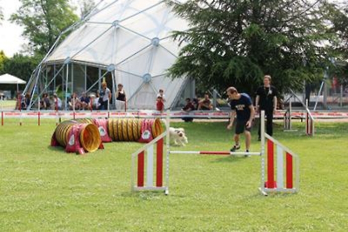 Animali: con Fido in piscina e sul monopattino, a Padova Quattrozampeinfiera