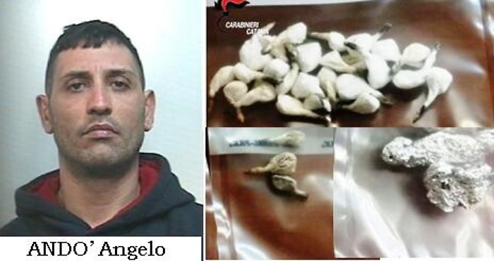 Giarre, minimarket della droga in casa. arrestato