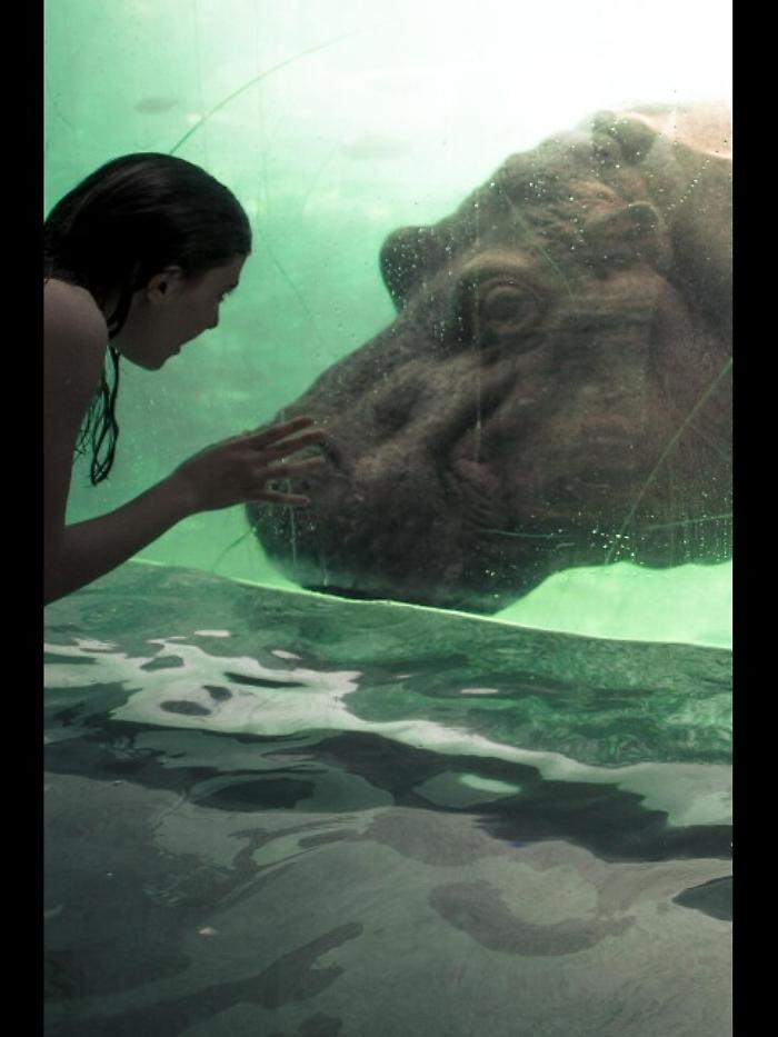 A Zoom Torino arriva Malawi Beach