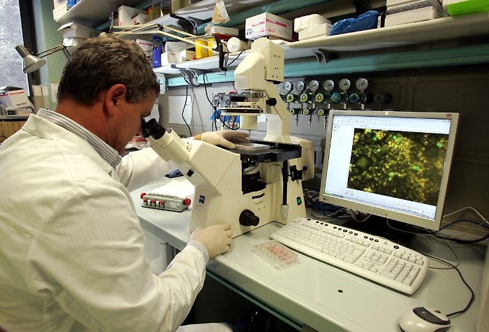 "Brains2South", 11 progetti finanziati per ricercatori in atenei del Sud