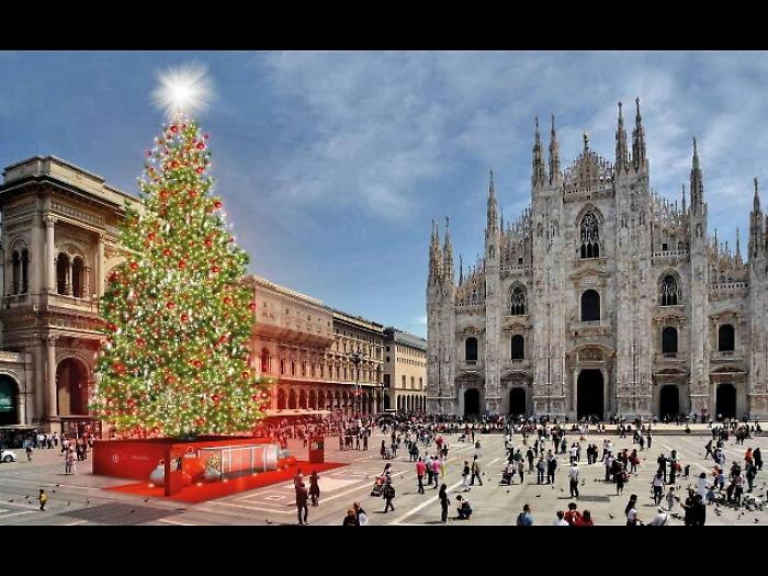 Natale, grande abete rosso a Milano