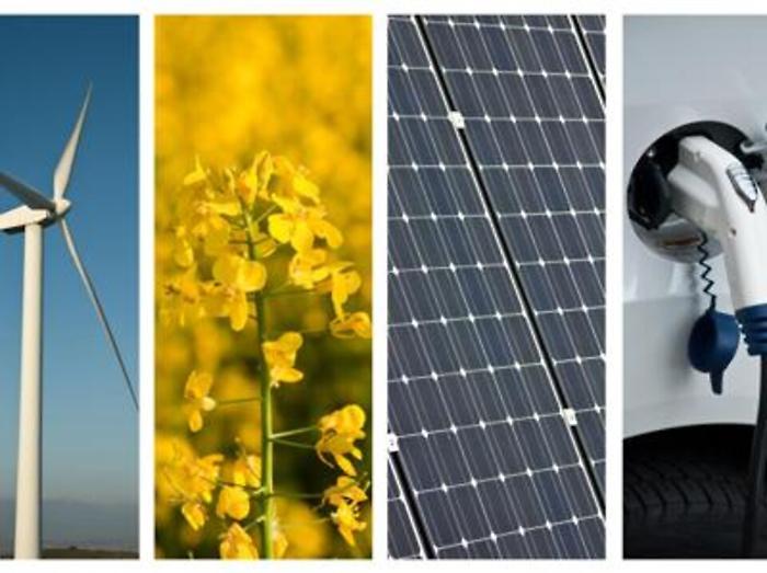 Green economy italiana prima in Ue