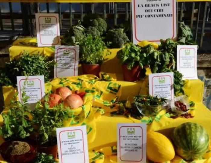 Coldiretti al G7 di Siracusa: &laquo;Si garantisca un futuro pi&ugrave; sicuro attraverso la cooperazione internazionale&raquo;