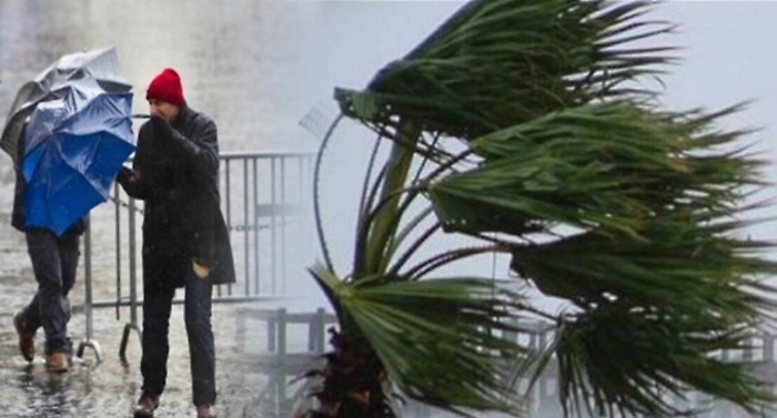 1615737171032_1620651163670-1