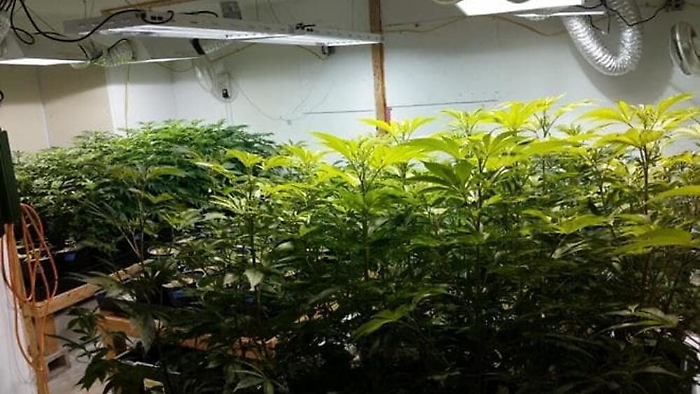 1615807633683_1620686148760