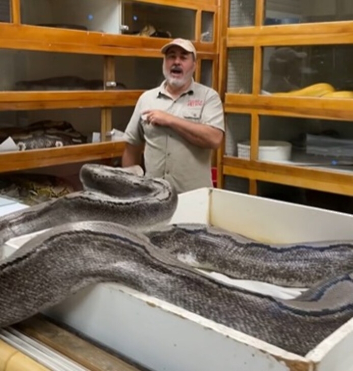 1616227950712_1620688058926