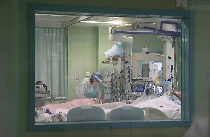 1616256434619_1620688323299