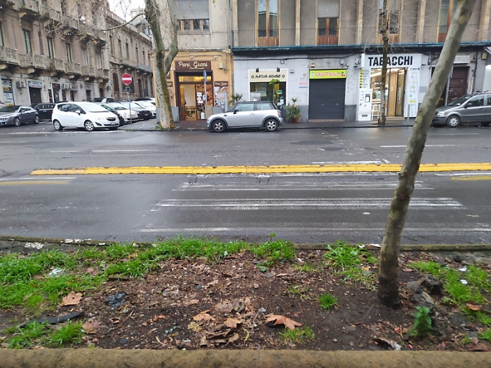 1616260971465_1620688344228