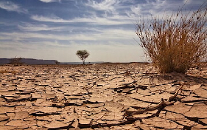 1616399014707_1620666067034