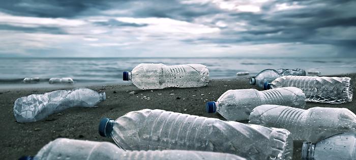 1616406739985_1620666128776