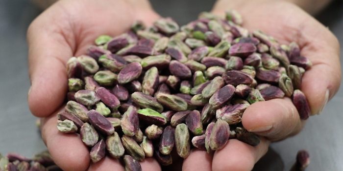 1616415962217_1620666269611