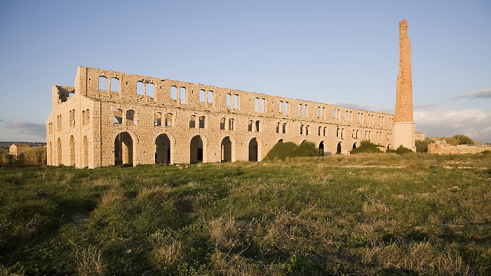 1616577415631_1620667021898