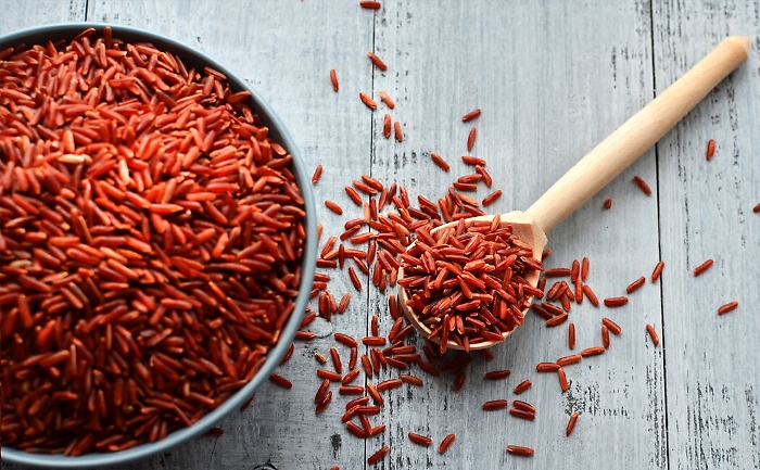 1616608483426_1620667310601