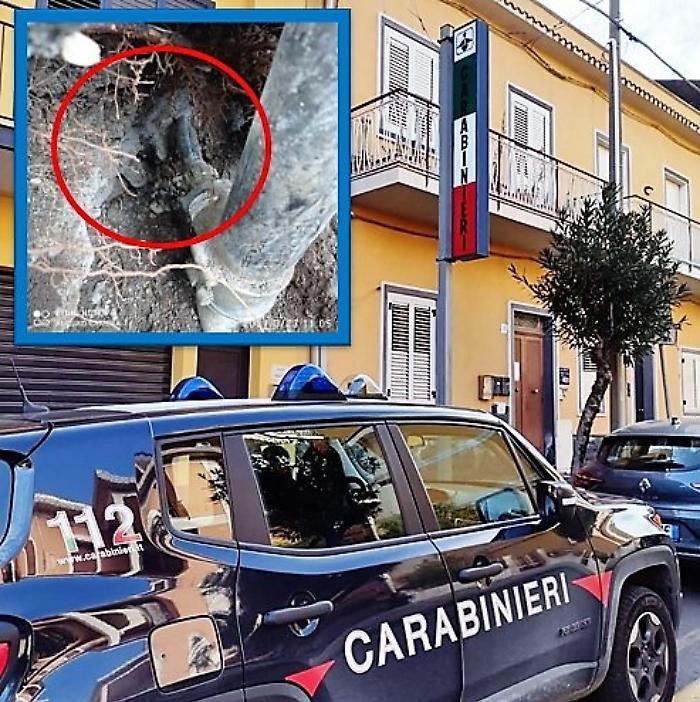 1616755199258_1620667842041