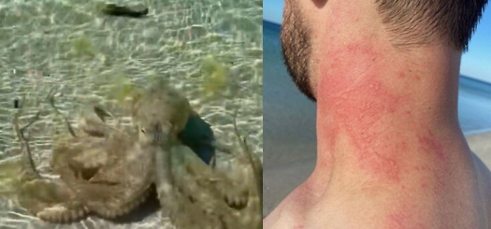 1617441902039_1620643695841