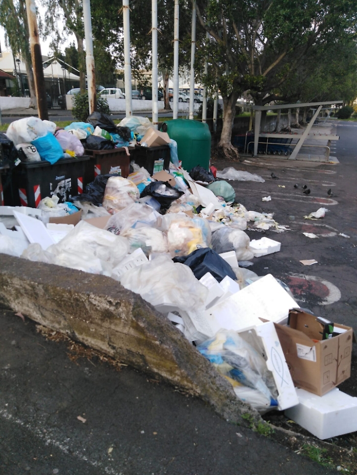 1617610014821_1620671230121