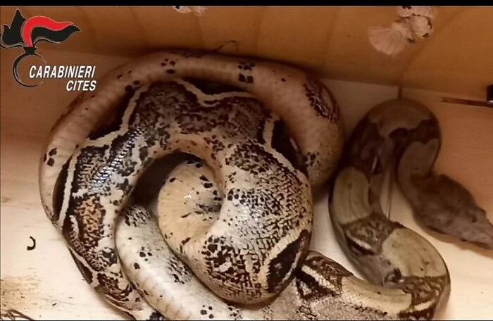 1617633035504_1620671302077