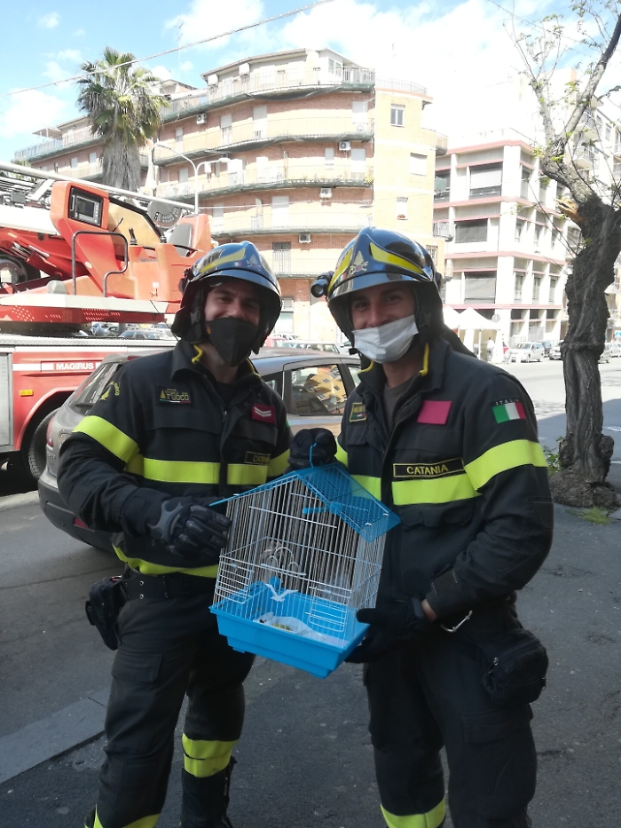 1617720795472_1620671540534