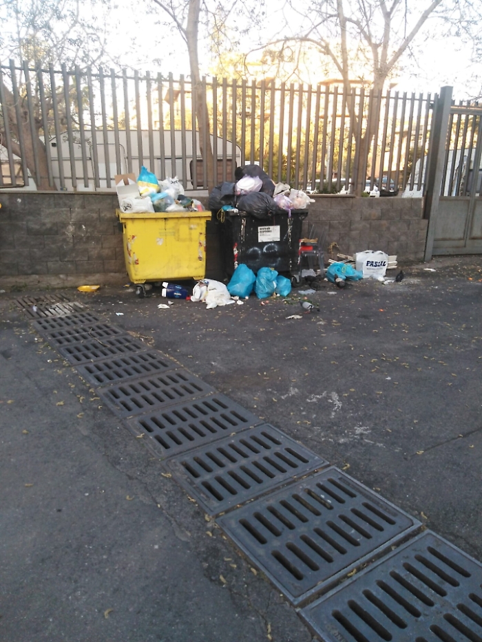 1617809074568_1620671887967