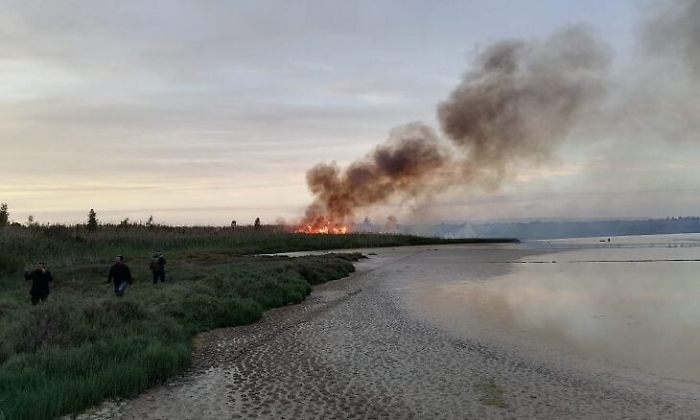 1617894010444_1620672150138