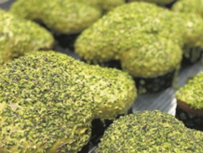 1617986344246_1620672143324