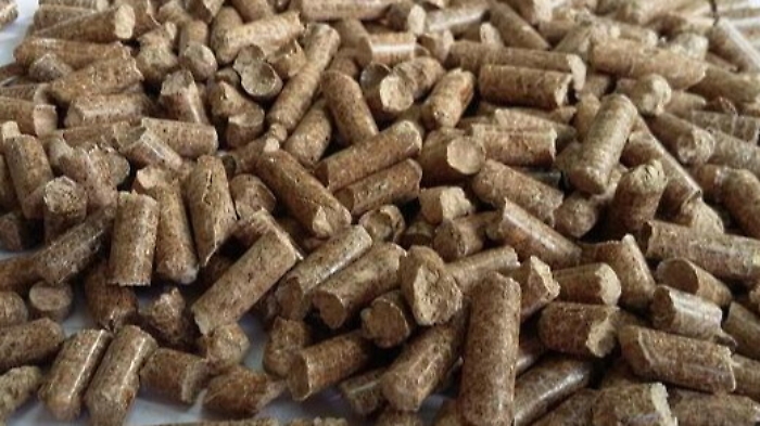 1618039964442_1618039973_1620672679719