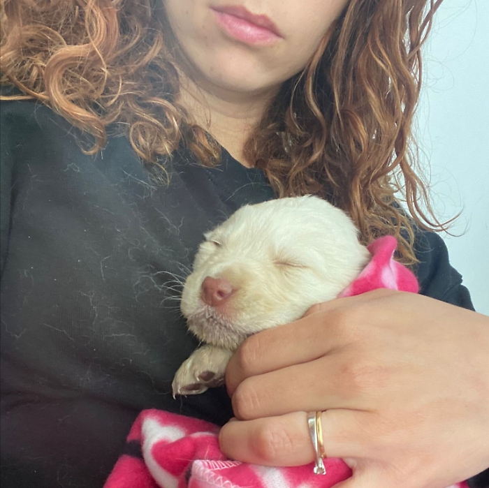 1618307421102_1620657120042