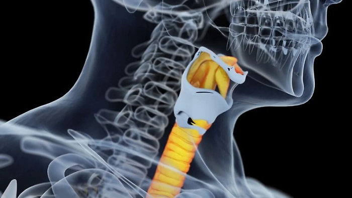 1618491939258_1620658064109