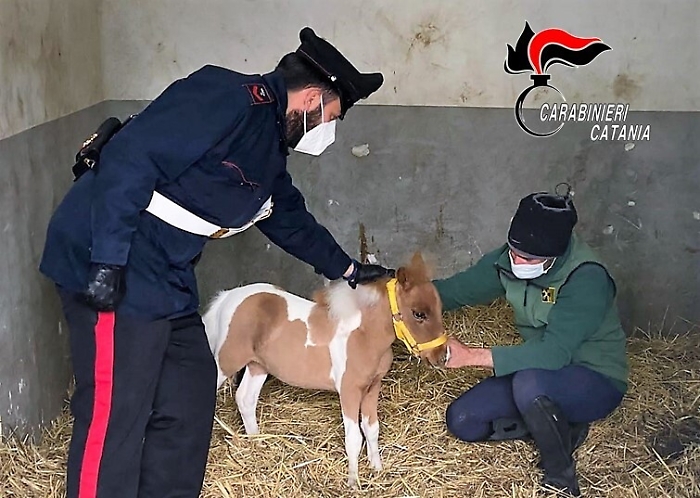 1618571683530_1620658447733