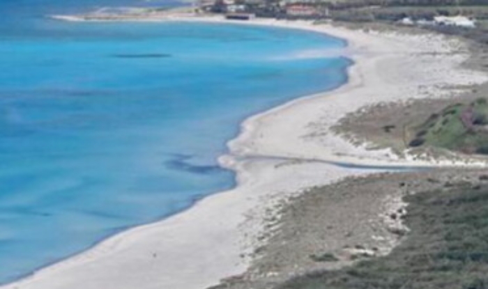 1619815642753_1619815651_1620653057420