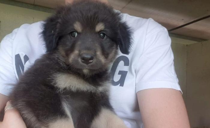 1620047713896_1620668672412