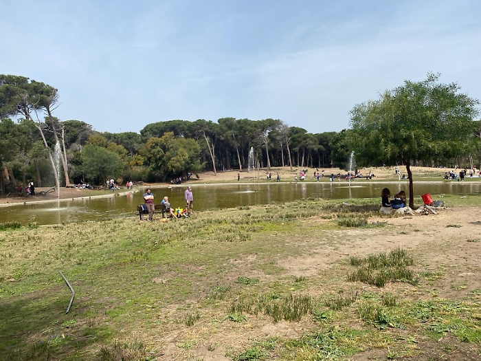 1620055629439_1620668757117