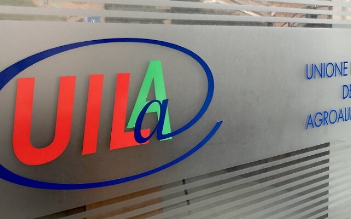 1620208852802_1620669325546