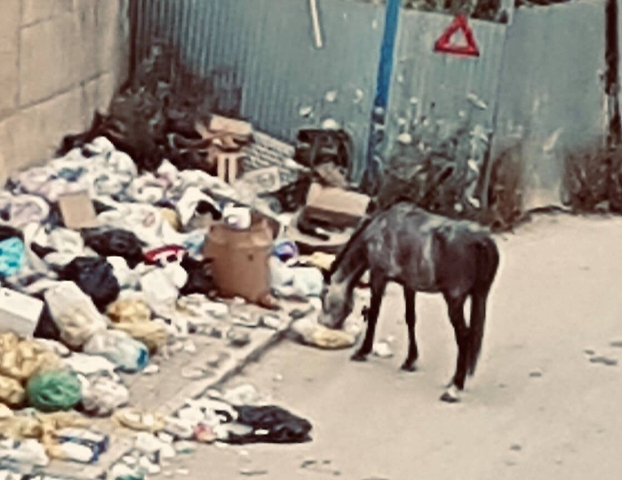 1620292185759_1620669710202